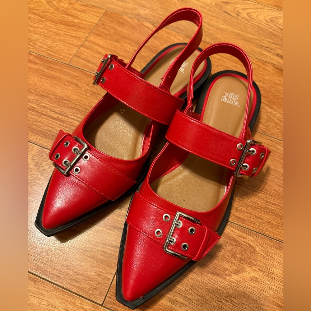 Wild Fable Red Shoes